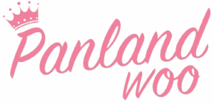 Logo Perusahaan Panlandwoo Aksesoris Indonesia - Lowongan Kerja Host Live