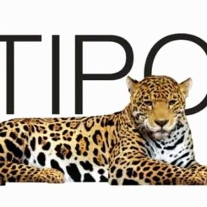 Logo Perusahaan Multipolar Technology - Lowongan Kerja Software Engineer AS400